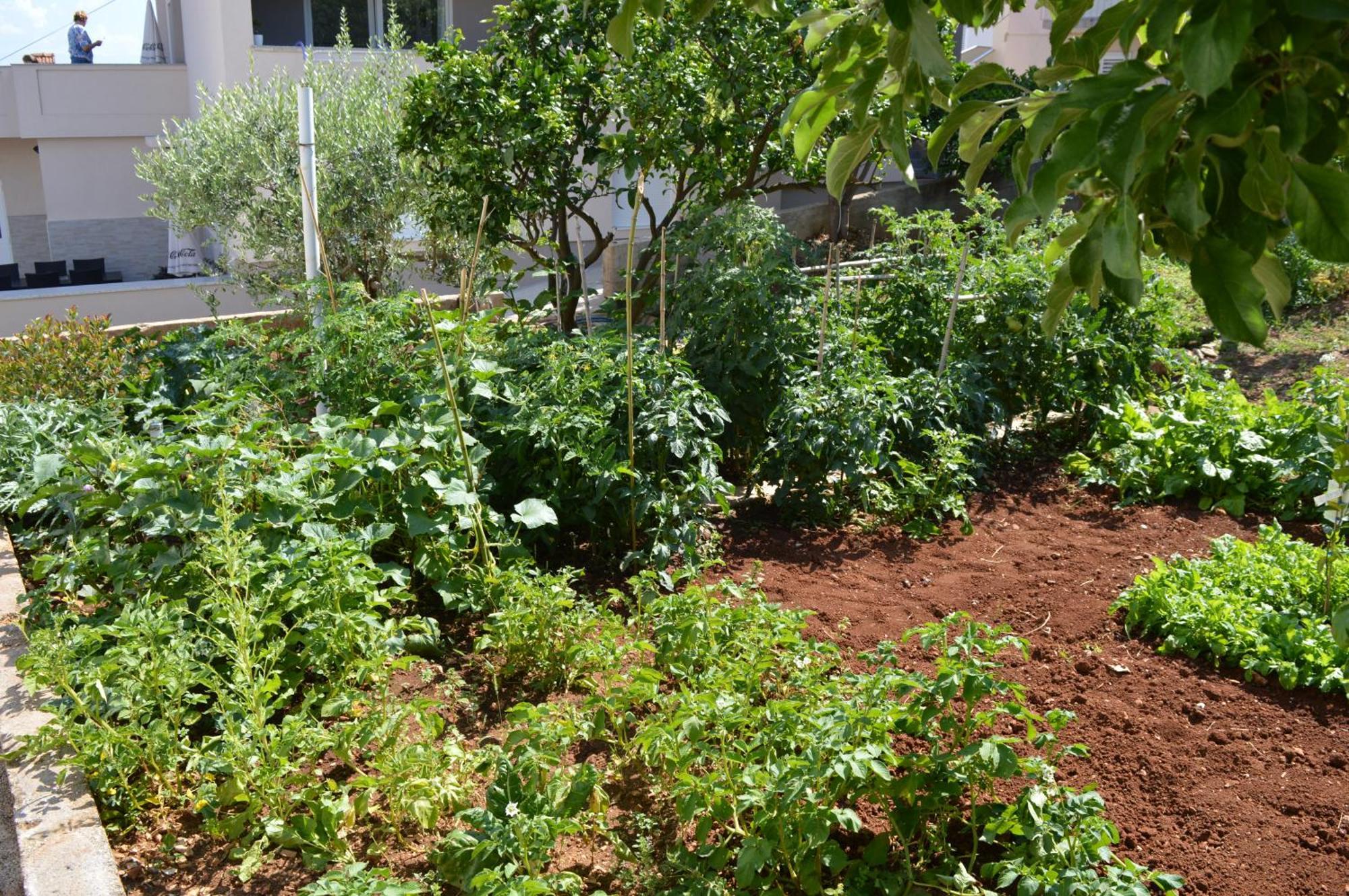 Apartman Talija Kali Exterior photo